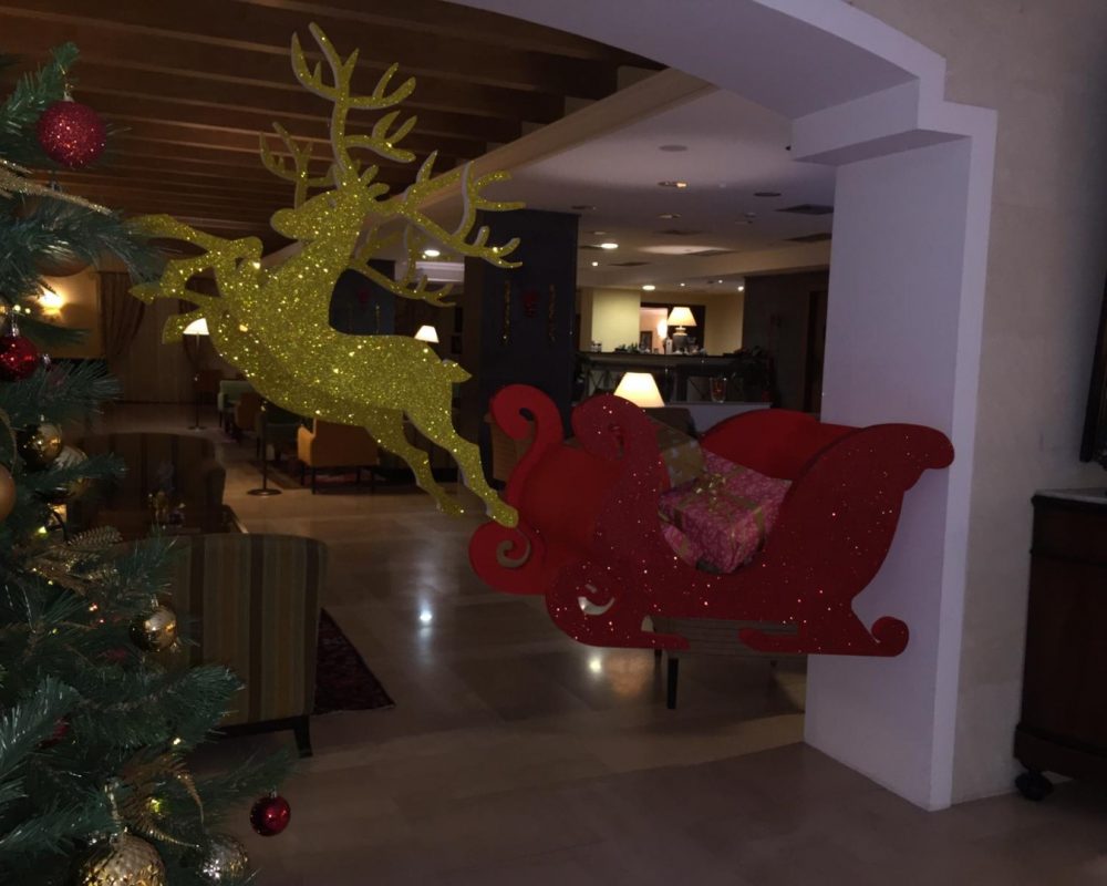 IMG-20181221-WA0018